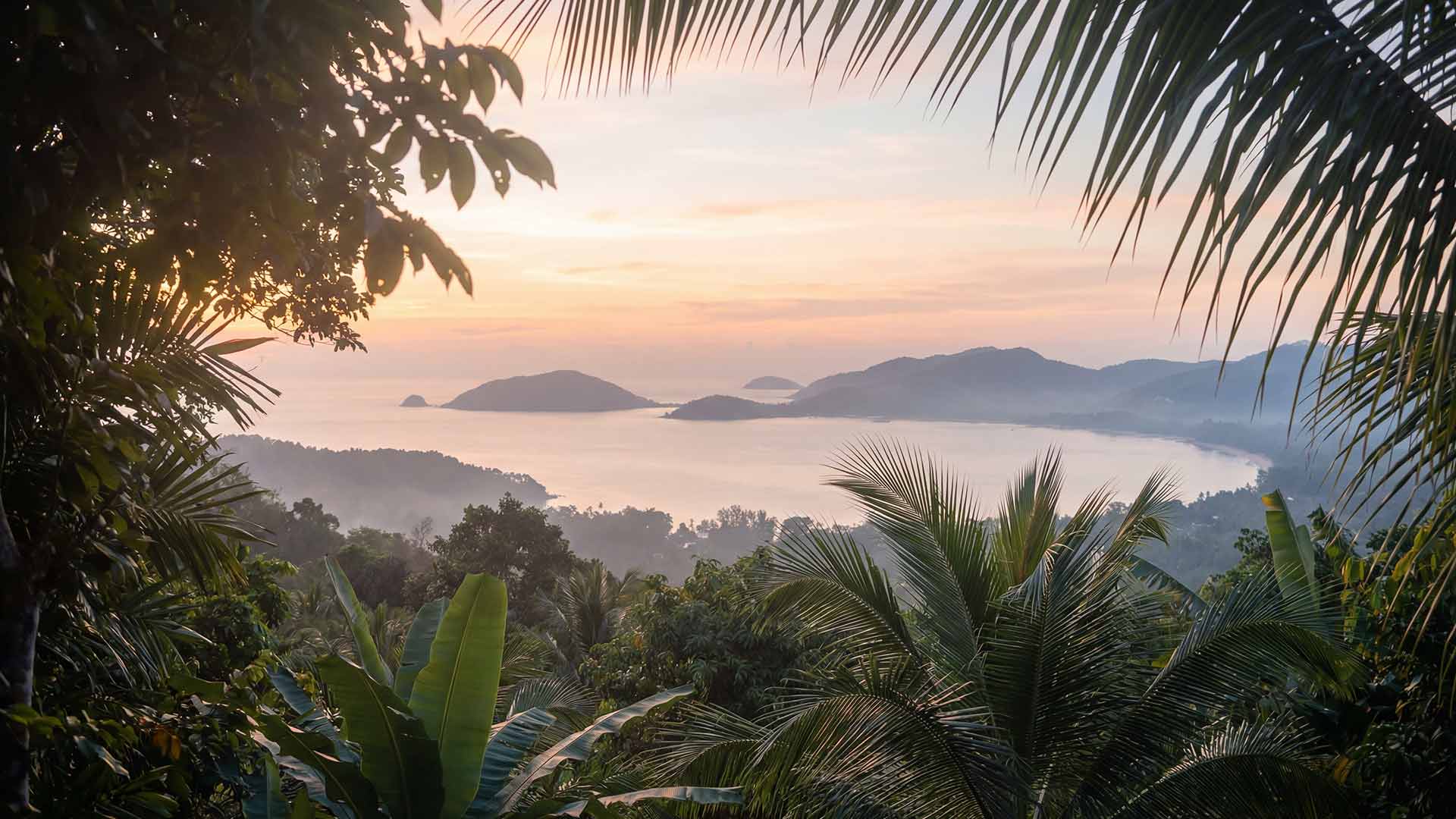 Digital marketing workspace in Phuket